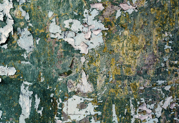 istock Old cracked plaster on the wall. Grunge concrete texture 920059178