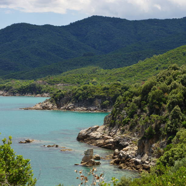 istock Sea coast near Stagria, Greece 920064012