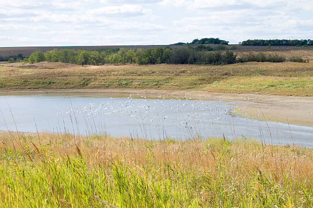 Peneplain Example 30+ Peneplain Stock Photos, Pictures & Royalty-Free Images - iStock