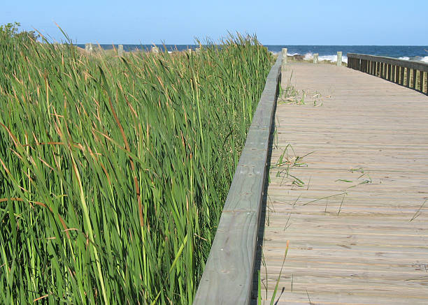istock wooden quayside on the beach 92007012