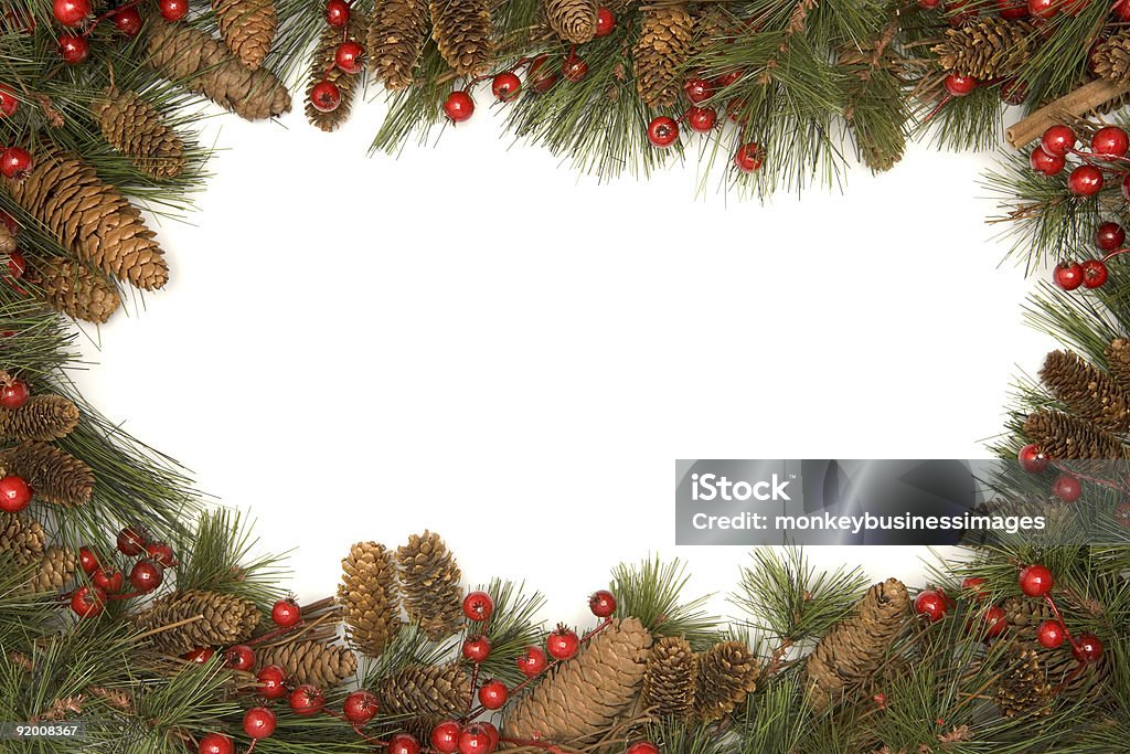 크리스마스 경계에서 파인에서 지점 - 로열티 프리 0명 스톡 사진