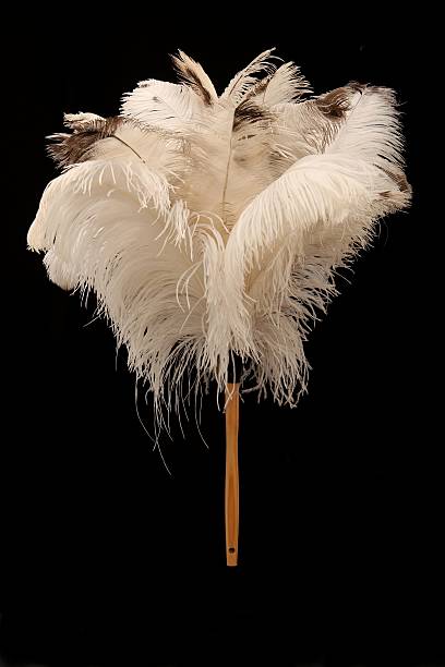 istock Feather duster made of ostrich feathers on black background 92008546