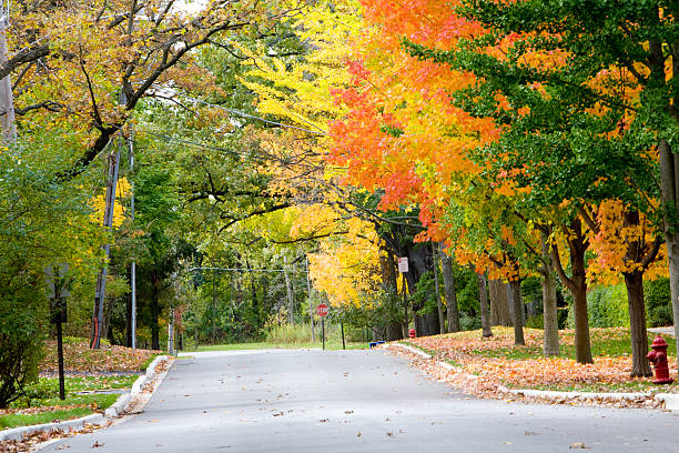 istock Our Street - Middle America 92009280