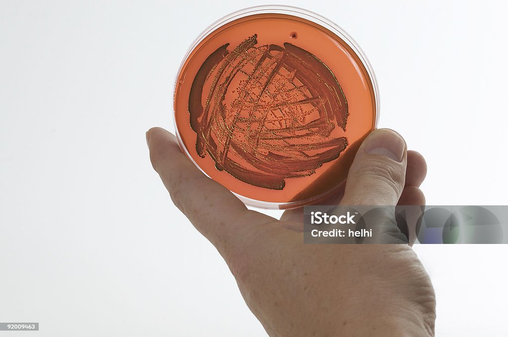 De rayas - Foto de stock de Bacteria libre de derechos