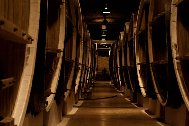 cave à vin - aging process french culture winemaking next to photos et images de collection