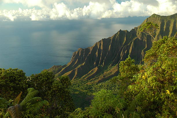 山奥谷のカララウは、カウアイ島（ハワイ州） - rhonda ストックフォトと画像