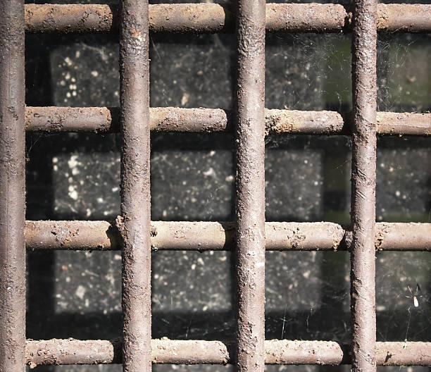 istock Close-up of lattice 92010283