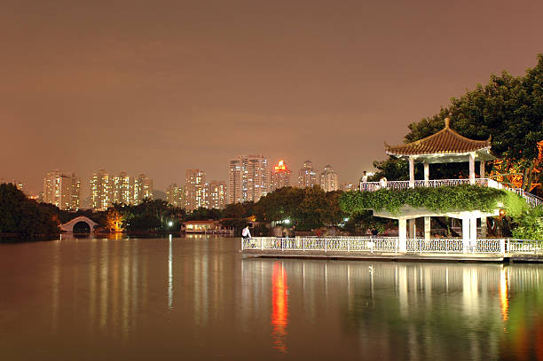 istock Shenzhen - Litchi park by night 92011673