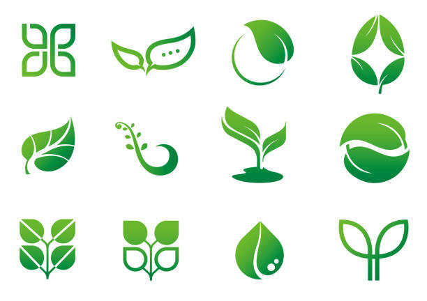 ilustrações de stock, clip art, desenhos animados e ícones de leaf icon logo set - leaf logo