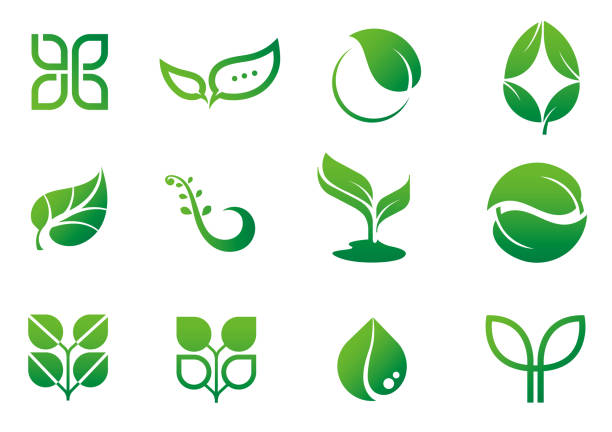 leaf icon logo set leaf icon logo set leaf logo stock illustrations