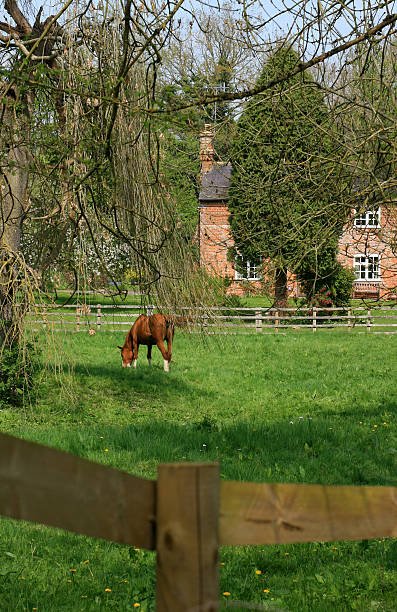 istock Country Cottage and Horse 92012235