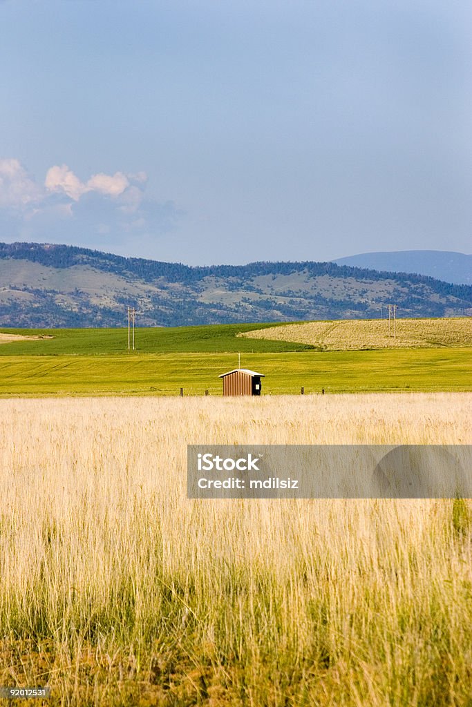Campo em Helena com um galpão - Foto de stock de Montana royalty-free
