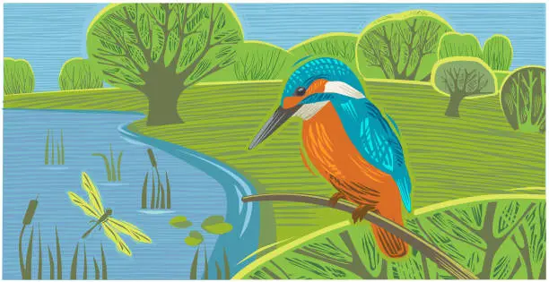 Vector illustration of Countryside scene with Kingfisher