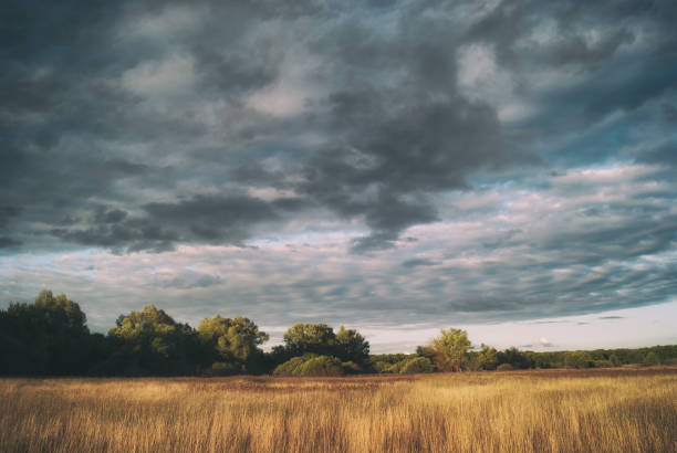 istock The bright landscape of the fields and forests under the cloudy sky 920128834