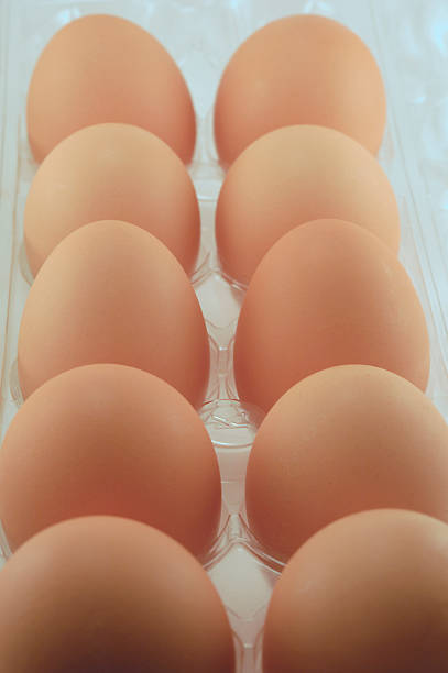 Eggs and carton stock photo