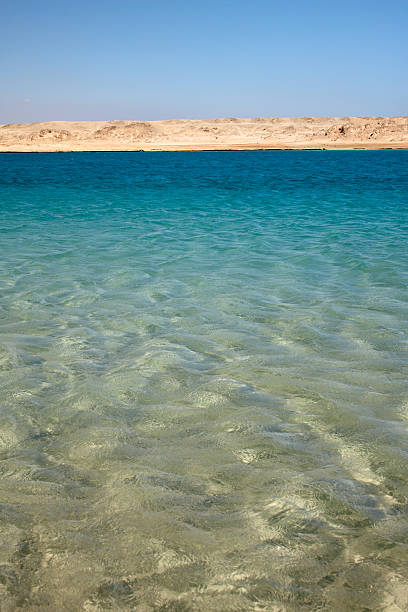 istock cool clear water of Red Sea in Egypt 92012938