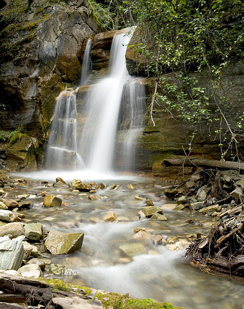istock Beautiful Waterfall surounded by forest British Columbia Canada 92013435