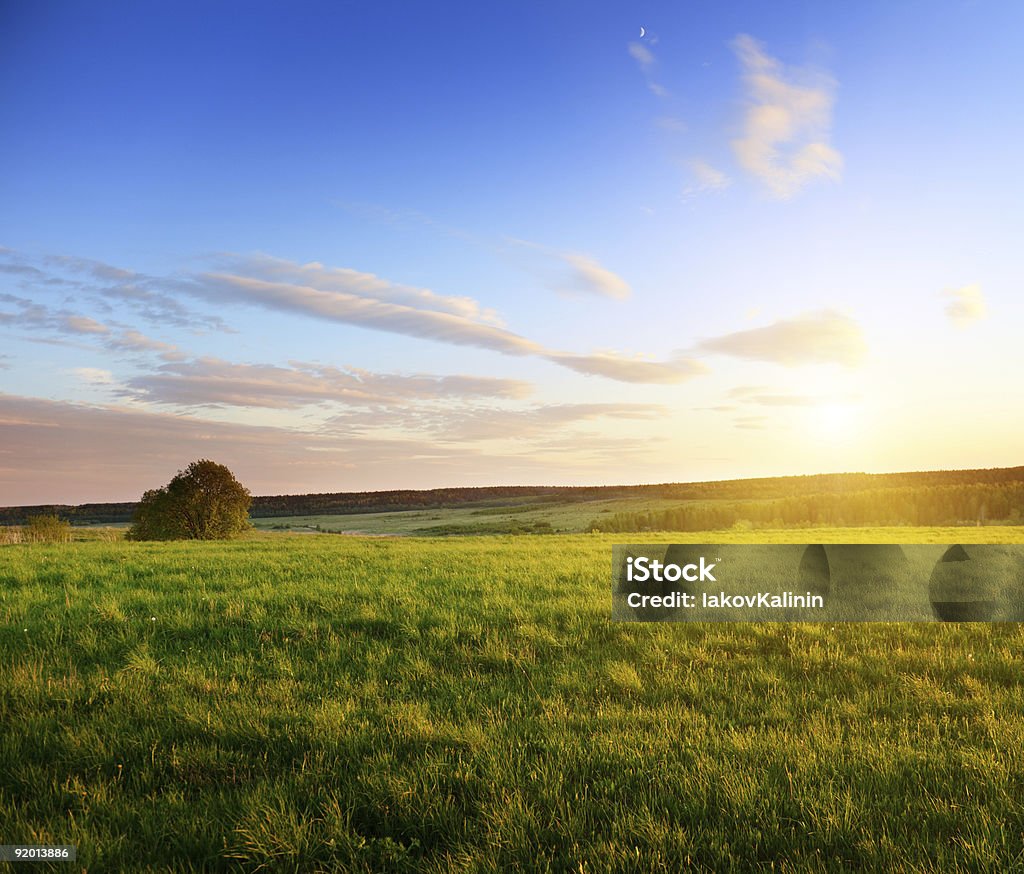 Frühling Sonnenuntergang - Lizenzfrei Agrarbetrieb Stock-Foto