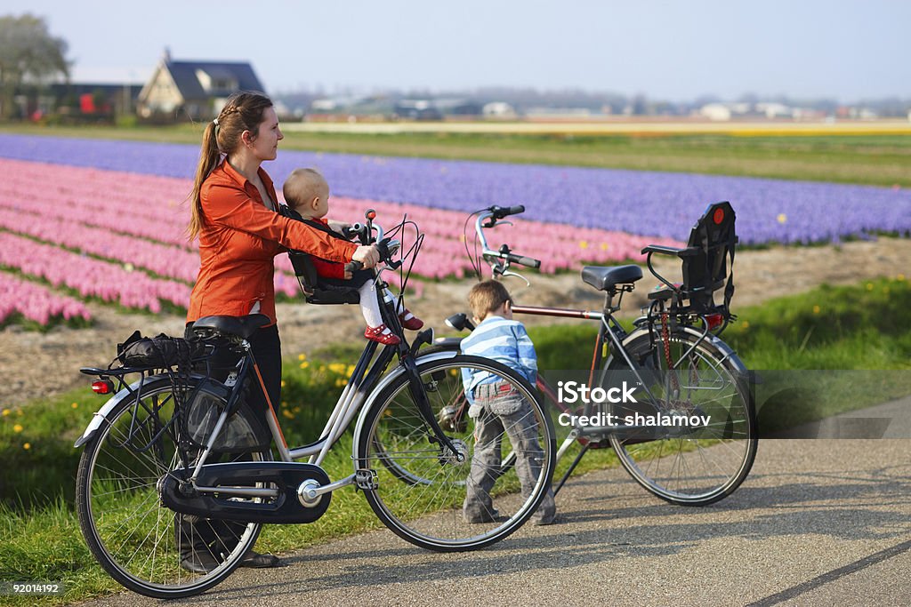 Bicycling in Tulip Fields  Netherlands Stock Photo