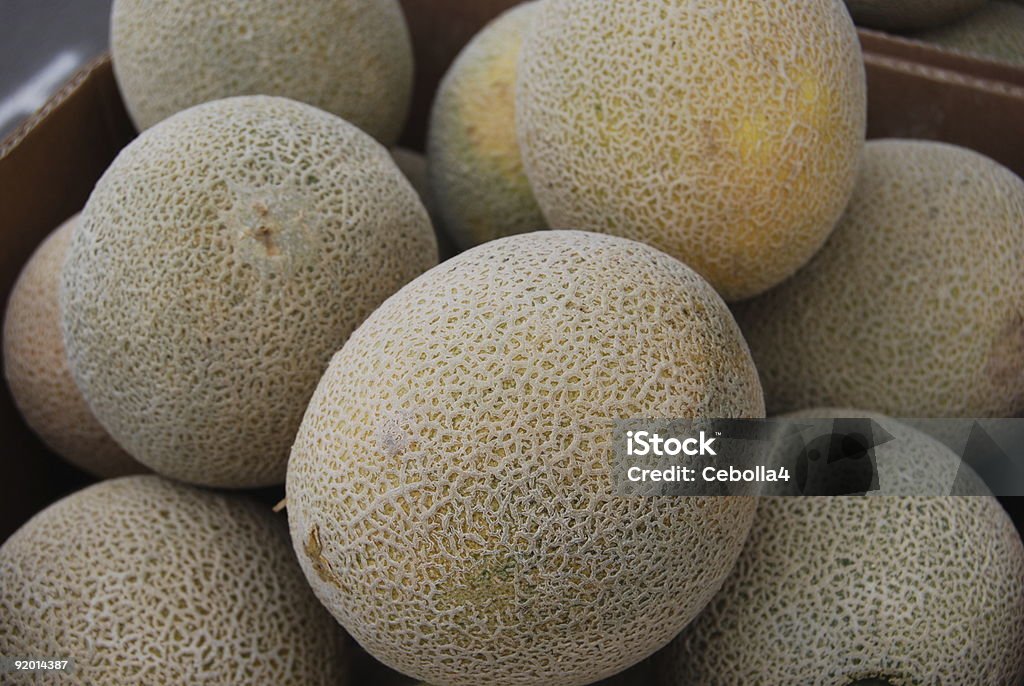 Cantaloupe no Mercado - Royalty-free Agricultura Foto de stock