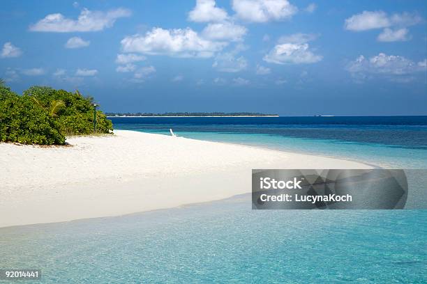 Maldives Anemonefish Strand Stockfoto und mehr Bilder von Ari-Atoll - Ari-Atoll, Atoll, Blau