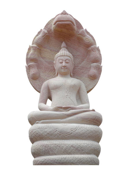 buddha-statue auf weißem hintergrund - venerable stock-fotos und bilder