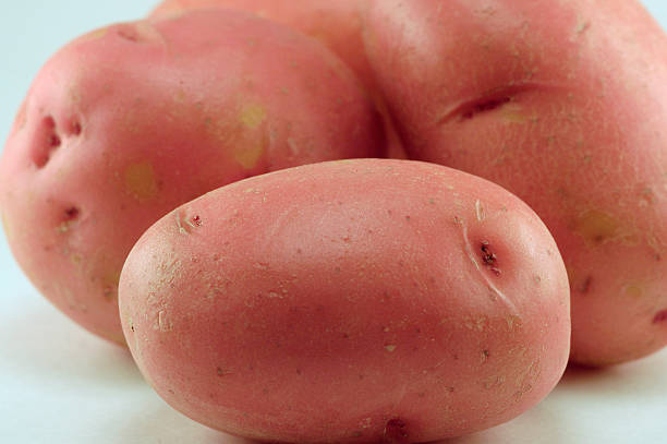 Potatos on white backdrop stock photo