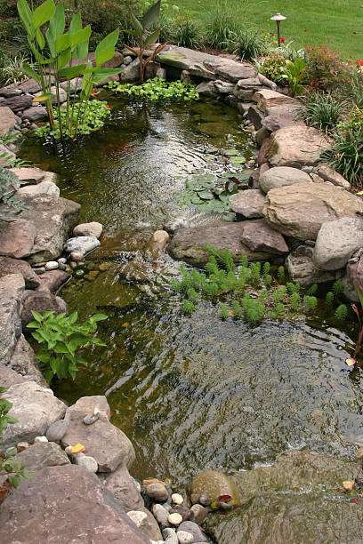istock Landscaped Backyard garden pond 92015797