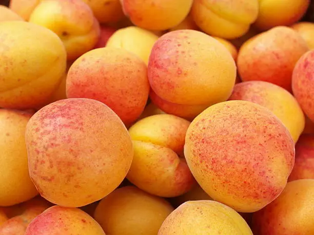 Detail of fresh apricots as background