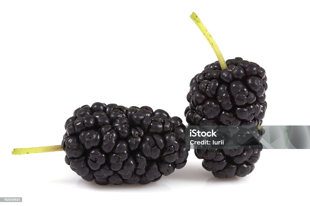 mulberry isolado - Royalty-free Amora Foto de stock