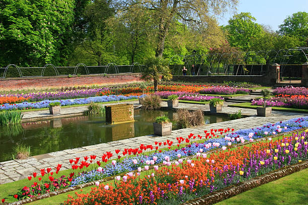 Kensington Palace Sunken Gardens hyde park flowers stock pictures, royalty-free photos & images