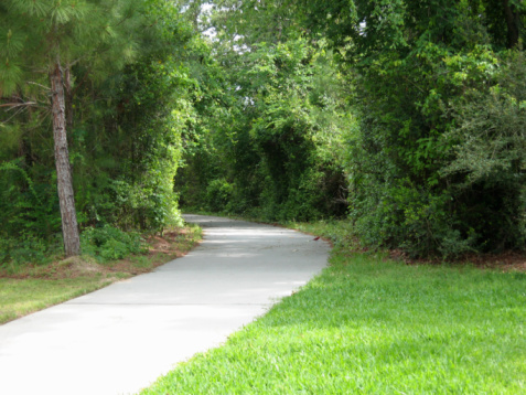Walking and Bicycle path through the trees.  There is a little red bird sitting on the path on the right side, he has a worn in his mouth.  This path is frequented by school children attending a nearby school.