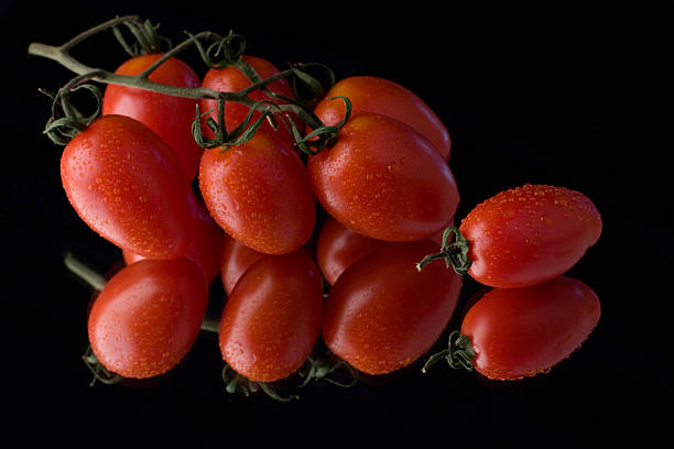 Tomatoes on the vine with dew on black reflective background stock photo