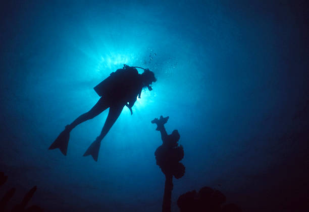 Diver Silhouette stock photo