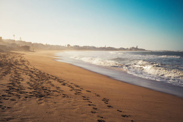 istock Scenic View Of Beach Against Clear Sky 920164544