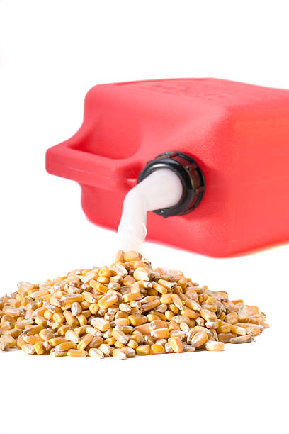 Corn pouring out of gasoline can Ethanol stock photo