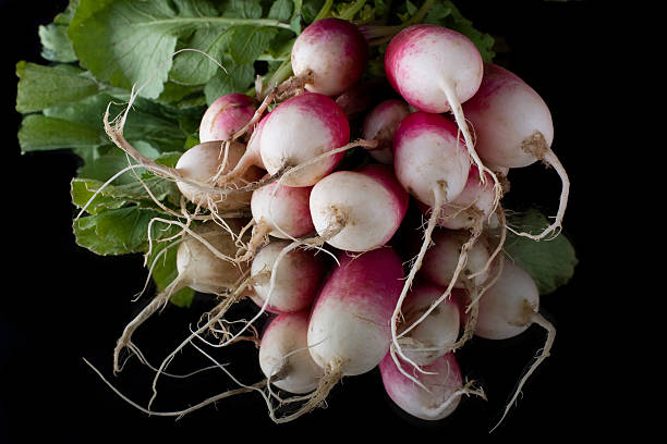 Elegant radishes on black reflective background stock photo