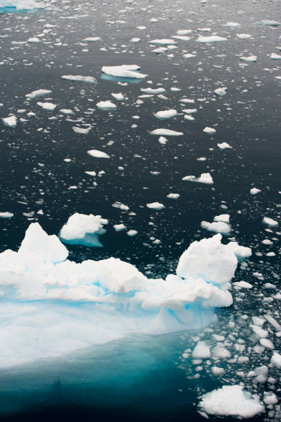 Sea ice on Antarctica. Iceberg, frozen.