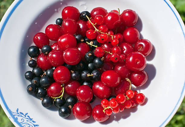 Berries on a plate stock photo