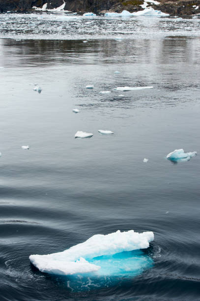 Sea ice on Antarctica. Iceberg, frozen.