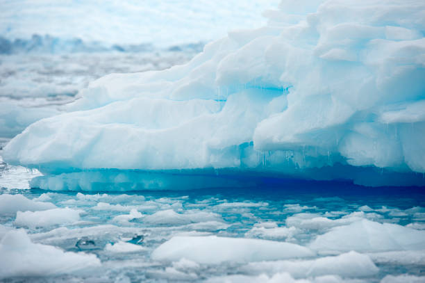 Sea ice on Antarctica. Iceberg, frozen.