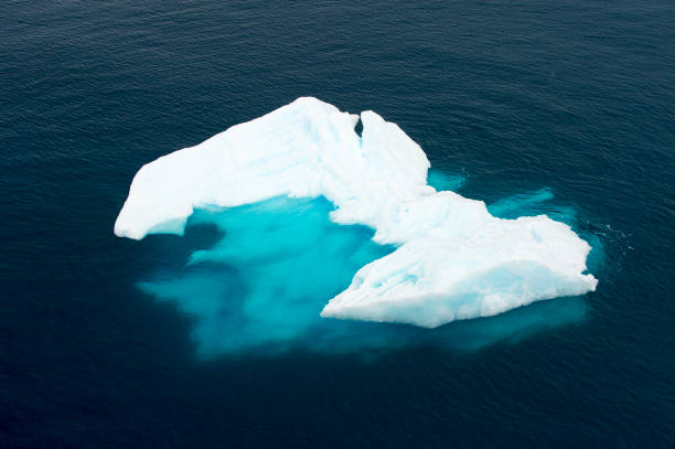 Aerial view of icebergs  in Antarctica