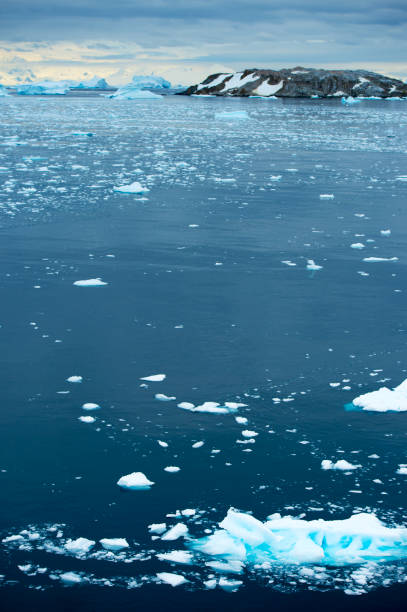 istock Aerial view of icebergs  in Antarctica 920176478