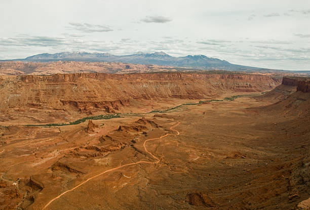 anticline, с видом на каньон земель парк, штат юта - lowlight стоковые фото и изображения