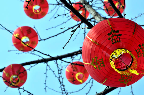 Chinese Lanterns stock photo