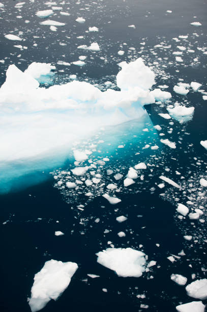 istock Floating Iceberg near Antarctica 920183924
