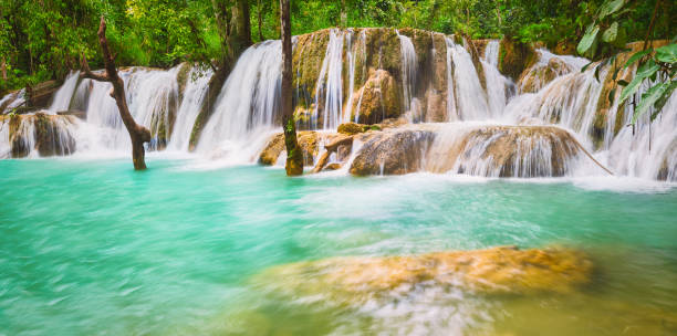 istock Tat Sae Waterfalls. Beautiful landscape, Laos. Panorama 920188972