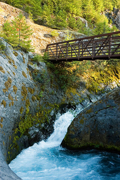 Rustic wooden bridge over a stream in Córdoba - Argentina