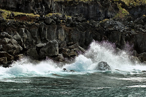 istock Volcanic coastline in  Azores 92020658