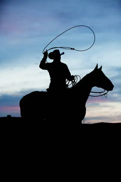 Silhouette of a cowboy roping on his horse on an early summer evening.